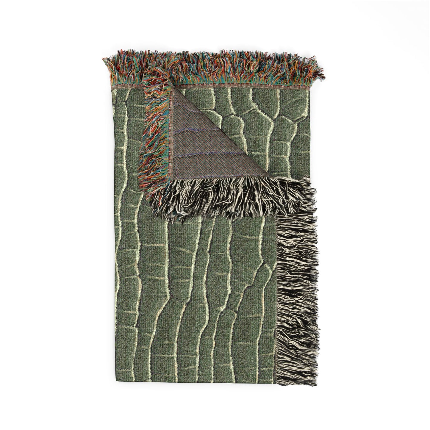 Alligator Throws a Blanket